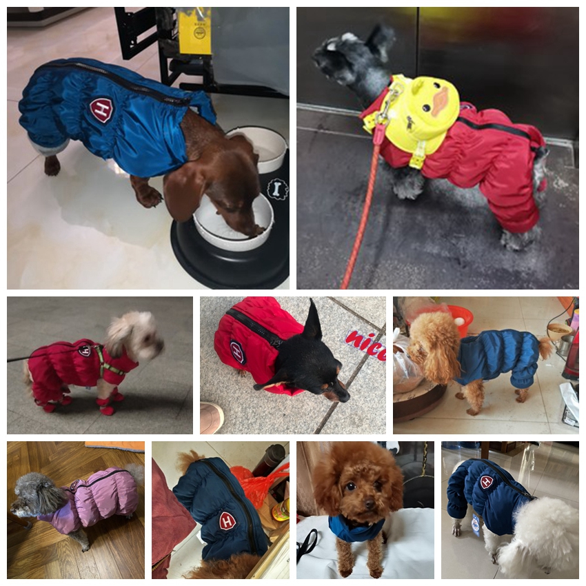 Zipper Snow Unisex Dog Waterpr - Winter Clothing Baby recensione e prezzo
