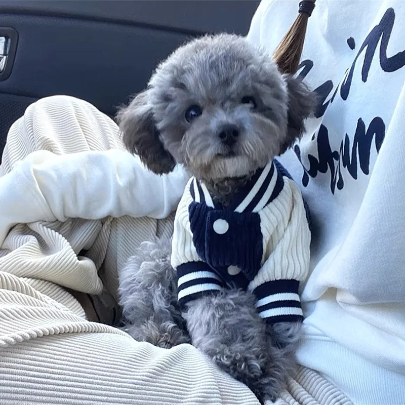 Costume for Dog Clothes Chihua - Winter Clothing Baby recensione e prezzo