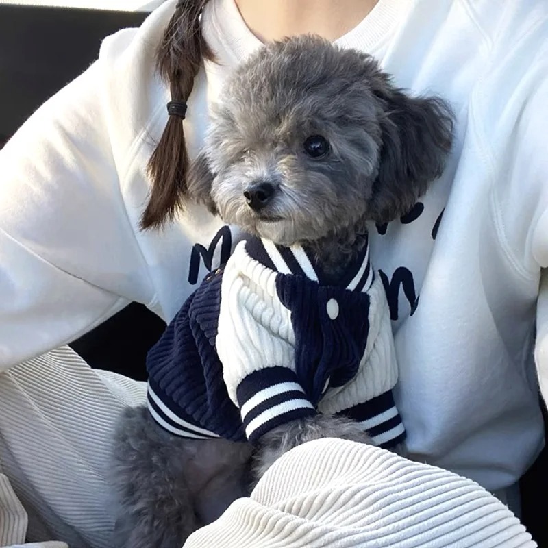 Costume for Dog Clothes Chihua - Winter Clothing Baby recensione e prezzo
