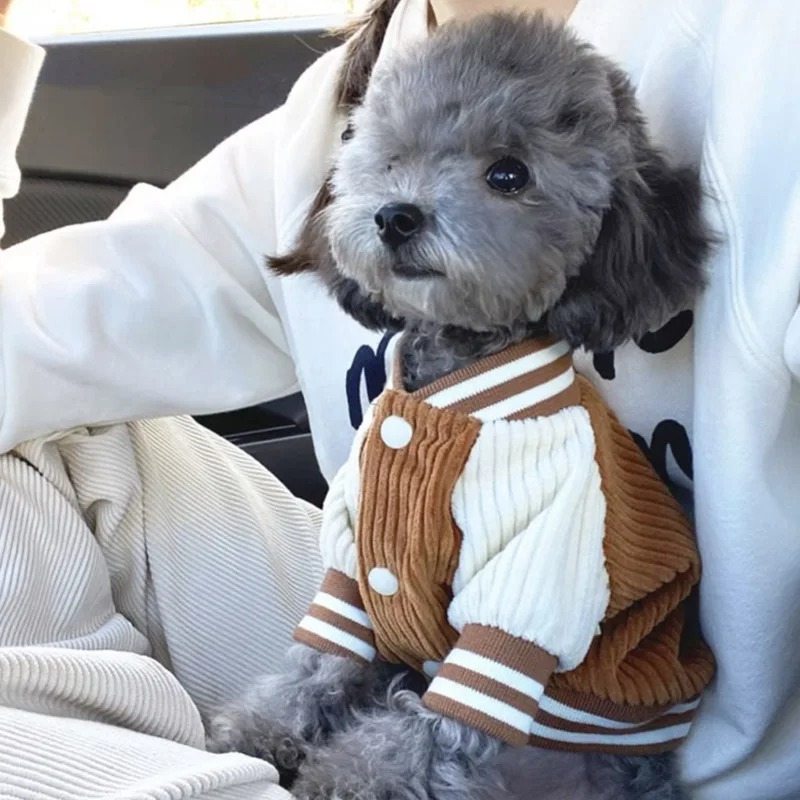 Costume for Dog Clothes Chihua - Winter Clothing Baby recensione e prezzo