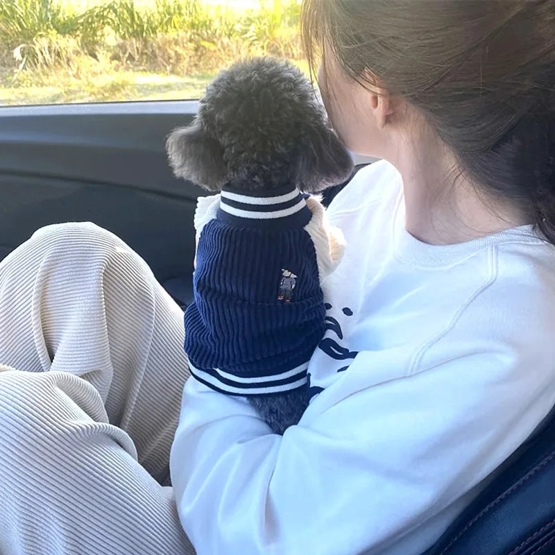 Costume for Dog Clothes Chihua - Winter Clothing Baby recensione e prezzo